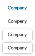 Company